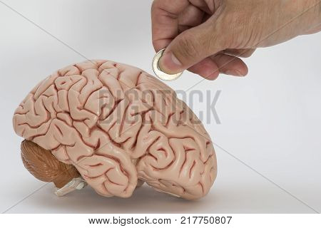 Concept of donation for the brain reseach by using hand donate a coin and human brain model