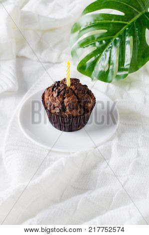 Birthday muffins or capkakes with chocolate on a wooden tray in bed. White background. Sweet food. Festive mood copy space flat lay