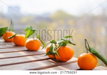Close up five mandarin oranges lying on wooden surface outside