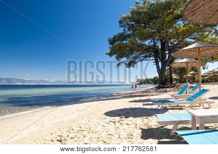 Beach (Pachis) in summer Thasos island Greece