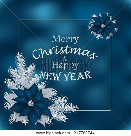 Christmas card with fir branches and blue flowers. Blue Christmas background with silver color fir branches and blue poinsettia. Vector illustration.