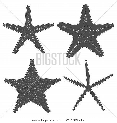 Set of graphic black and white images of sea stars. Isolated vector objects on white background.