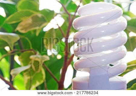 Energy saving light bulb on a background of green plant leaves.