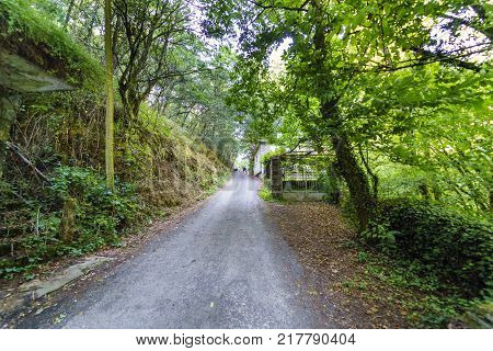 Narrow mountain road with very little traffic and people walking on a hillside in a typical Atlantic forest in Galicia Spain