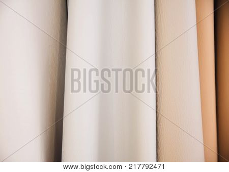 Color Palette Sample Of Leather Material.