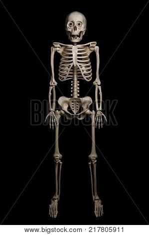Plastic skeleton of a man isolated on black background