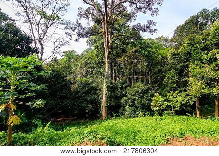Observation Site Of Lake Cheo Lan, Thailand.