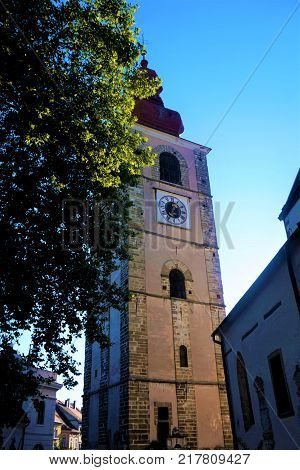 Town tower of Ptuj Slovenia behind tree
