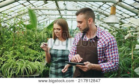 Young couple florists work in garden center. Attractive man and woman count flowers using tablet computer during working in the greenhouse