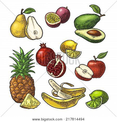 Set fruits. Isolated on the white background. Pineapple, lime, banana, pomegranate, maracuya, avocado. Vector color hand drawn vintage engraving illustration for poster, label and menu.