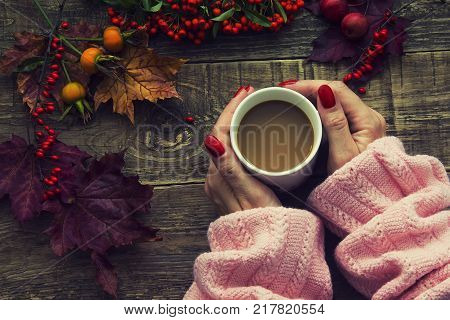 Female hands holding cup of coffee on autumn wooden background. autumn leaves and dried rowan on background. Concept cozy coffee cup.