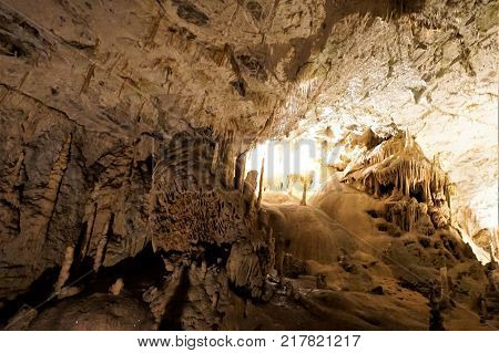 Surreal dripstones in the Postojna cave Slovenia