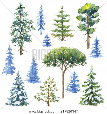 Watercolor painting. Hand drawn illustration. Set of conifers and evergreen trees isolated on white. Snow covered plants sketch.