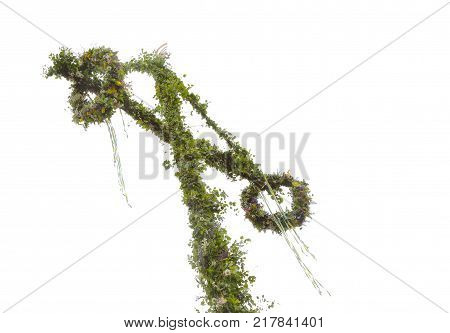 Top of a common green traditional Swedish maypole used for the midsummer eve celebrations.