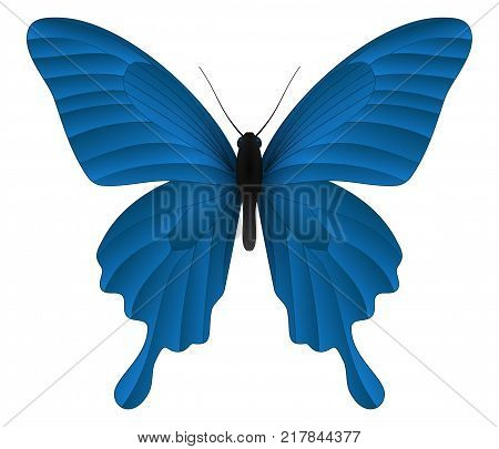 Papilio thoas or the king swallowtail butterfly isolated on a white background. Vector 3D illustration