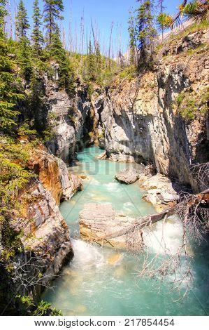 Turquoise colored waters from Tokumm Creek flows through Marble Canyon in Kootenay National Park British Columbia Canada near Banff. Vertical orientation.