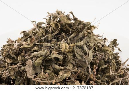 Organic dry Green or Holy Basil (Ocimum tenuiflorum) leaves on white background holy basil herb used in natural alternative herbal medicine