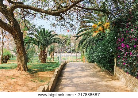 Street In A Summer Day In Agadir City. North Africa