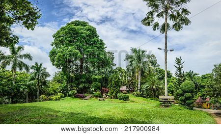 beautiful place to relax with trees and palms