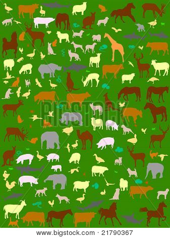 dieren