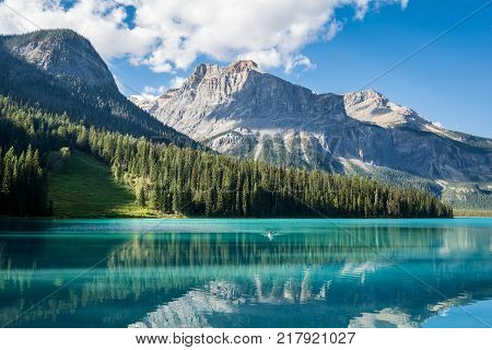Emerald Lake in Yoho National Park BC