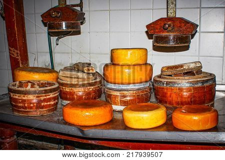 Making cheese at farm. Homemade cheese. Dutch cheeses of own manufacture. Whole pieces of cheese on the table with wooden cheese tools
