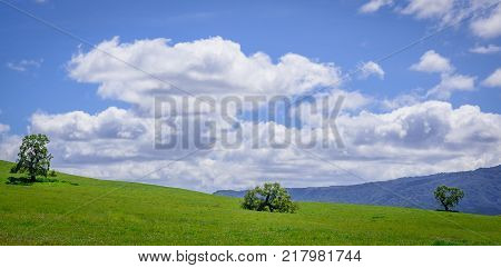 Three trees on the top of green hill. Blue and cloudy sky on the background