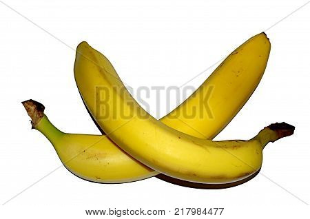Two ripe matte yellow bananas isolated on white background