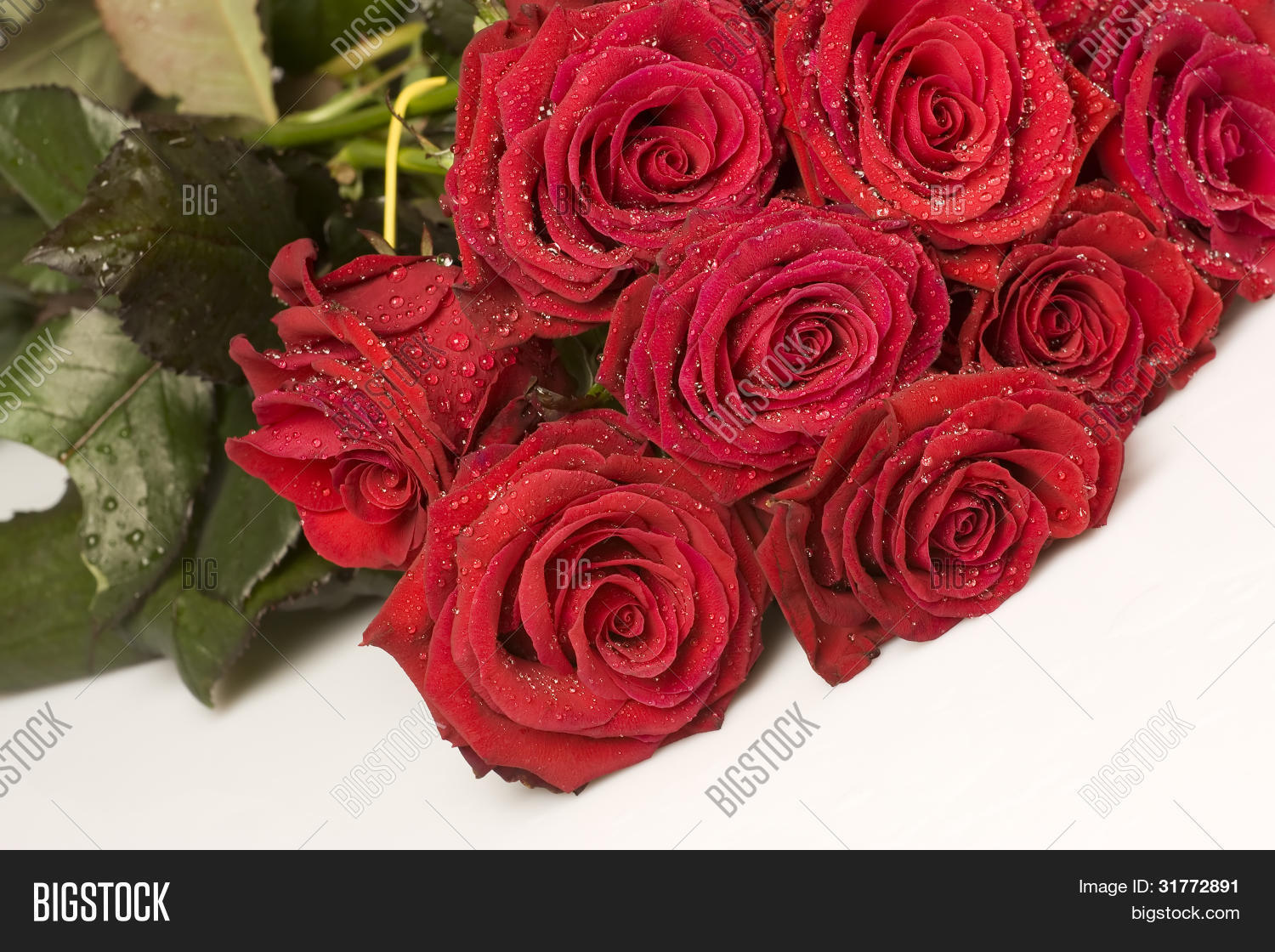 Beautiful Red Roses On Image & Photo (Free Trial) | Bigstock
