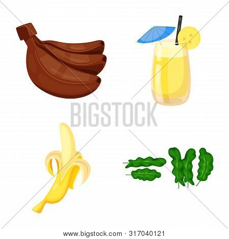Vector Illustration Of Tropical And Ripe Symbol. Collection Of Tropical And Potassium Stock Symbol F