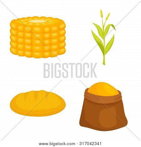 Isolated Object Of Maize And Food Logo. Set Of Maize And Crop Vector Icon For Stock.