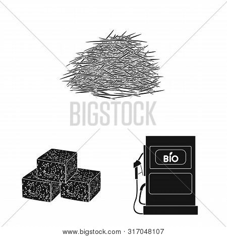 Isolated Object Of Sucrose And Technology Logo. Set Of Sucrose And Cane Vector Icon For Stock.