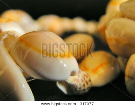 Seashell kaulakoru-lähikuva