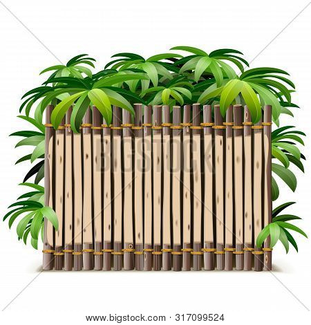 Vector Tropical Timber Frame Isolated On White Background
