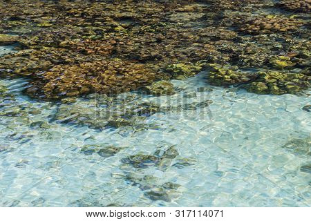 Reef Scenery In The Sea. Top View Of Reef Scenery. Coral Reefs In Tropical Oceans Regions Of The Wor