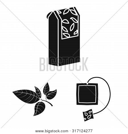 Vector Design Of Medicine And Gradient Symbol. Collection Of Medicine And Natural Vector Icon For St
