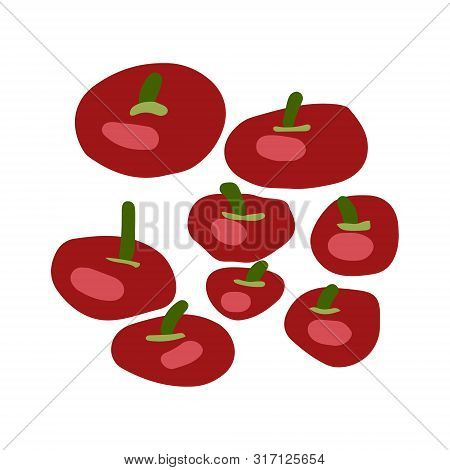 Red Tomatoes Illustration Isolated On White Background. Flat Cartoon Style. Vector Illustration.