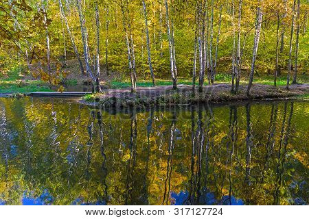 Reflection Of Coastal Trees In The Water Surface. Pond In The Landscape Reserve Teply Stan, Moscow, 