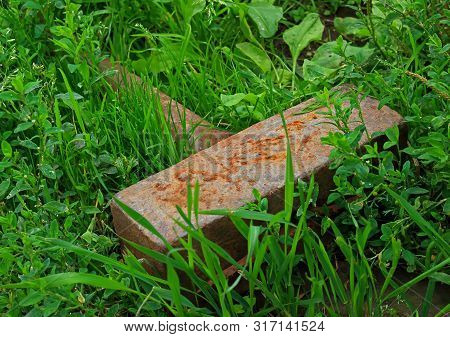 Rusty Sledgehammer Lies On Green Grass