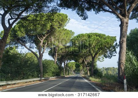 Scenic Driving On New Via Appia Road S7 With High Green  Mediterranean Pine Trees Connected Rome, La