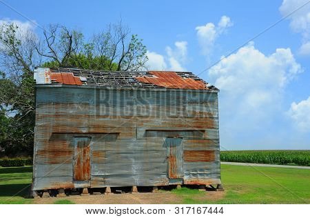 Tin Barn, Rusting And Roofless, Sits Besides A Field Of Corn In Northwest Arkansas.  Double Doors Si