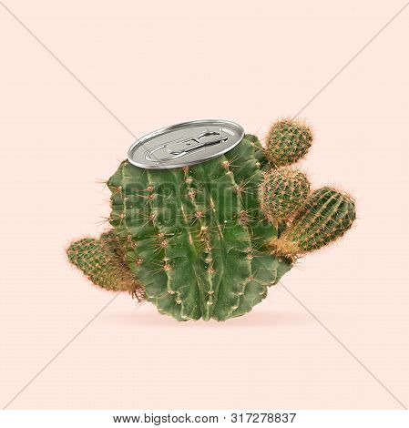 An Alternative Can Of Drink. Natural And Healthy Drinks And Food Concept. Cactus As A Cannister On C