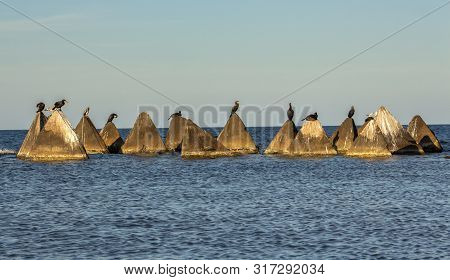 Seascape. Concrete Pyramids With Cormorants And Gulls In The Light Before Sunset. Shabla, Northern B