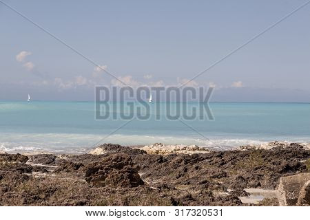 Rosignano (near Vada), White Beach In Italy, Toscany.