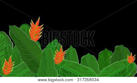 Heliconia Vector Illustration With Summer Flowers, Background And Frame Leaf, Background For Banners