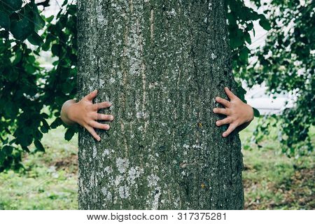 Kids Hands Hugging Tree. Child In Park. Save Planet Concept With Copyspace