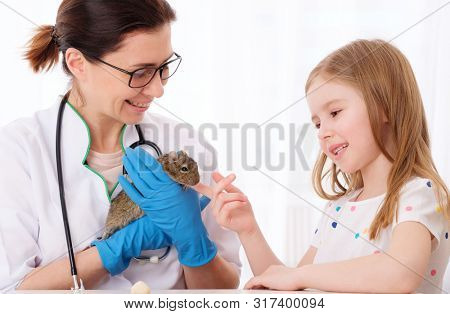 Veterinarian teaching funny little girl how to look after her pet degu