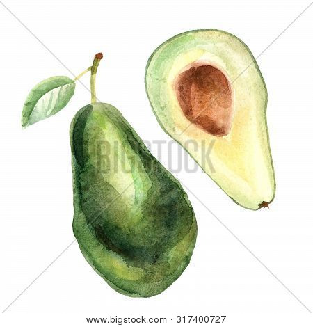Watercolor Tropical Composition With Avocado On A White Background