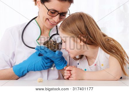 Pretty kid took her fluffy degu pet to professional veterinarian