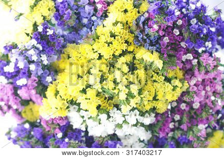 A Multi-colored Bouquet Of Small Flowers On A White Background. There Is A Place For Text.